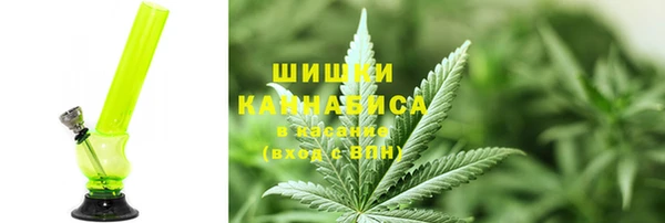 амф Осинники