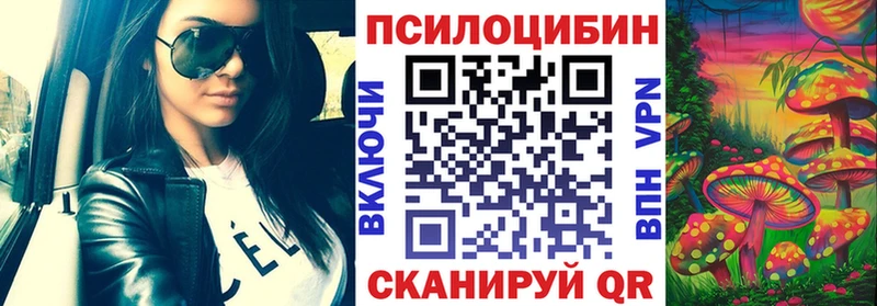 наркотики  Сортавала  Псилоцибиновые грибы Psilocybine cubensis 